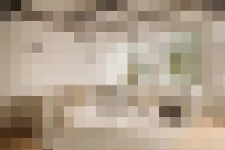 's-Gravenhekje 2 H Amsterdam thumbnail 4