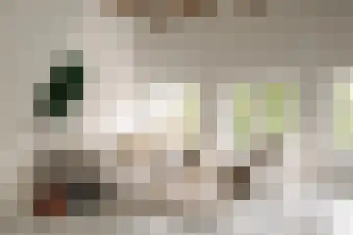 's-Gravenhekje 2 H Amsterdam thumbnail 4