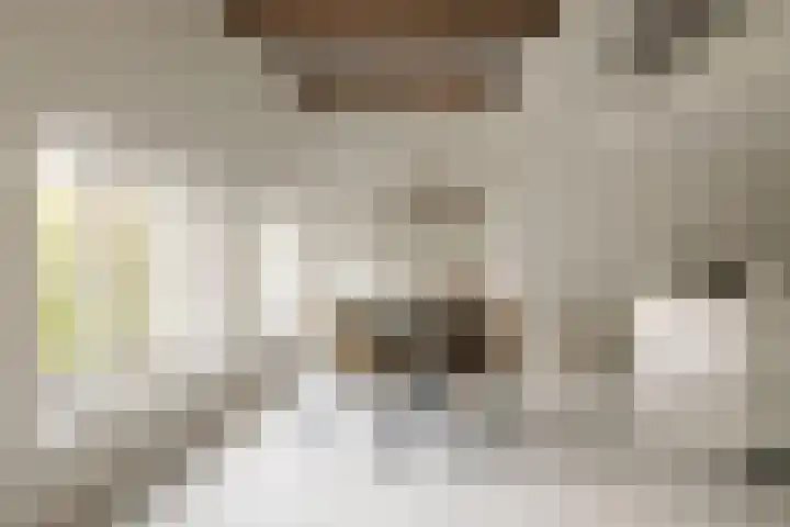 's-Gravenhekje 2 H Amsterdam thumbnail 5