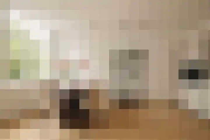 's-Gravenhekje 2 H Amsterdam thumbnail 7