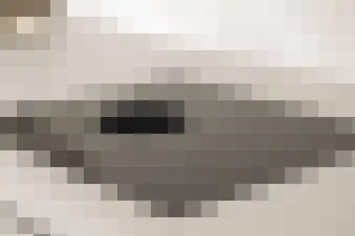 's-Gravenhekje 2 H Amsterdam thumbnail 8