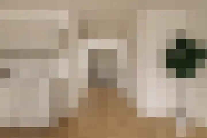 's-Gravenhekje 2 H Amsterdam thumbnail 9
