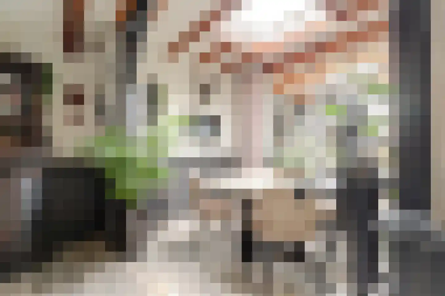 's-Gravenhof 30 Nieuwerbrug aan den Rijn thumbnail 18