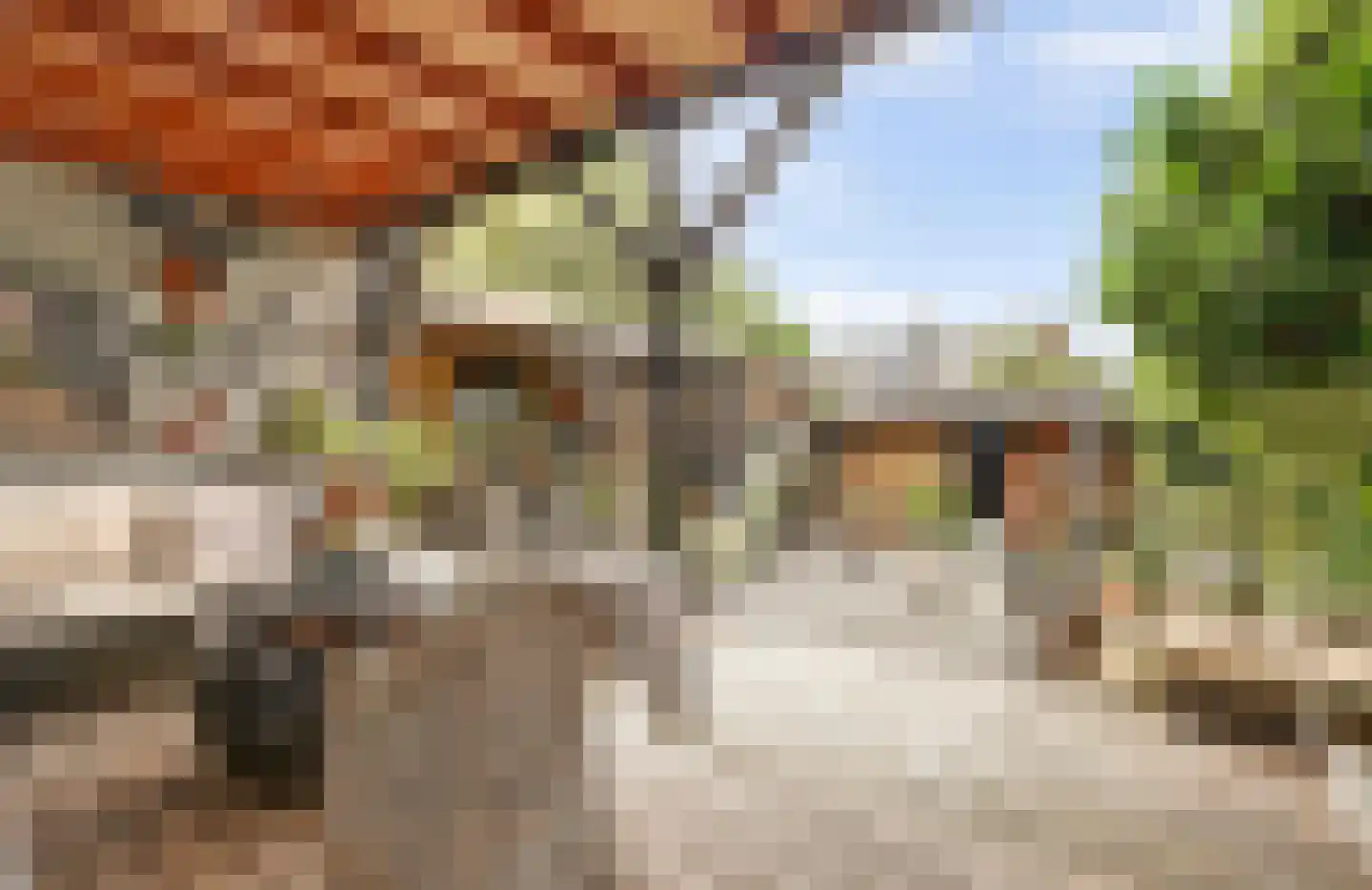 's-Gravenhof 30 Nieuwerbrug aan den Rijn thumbnail 21