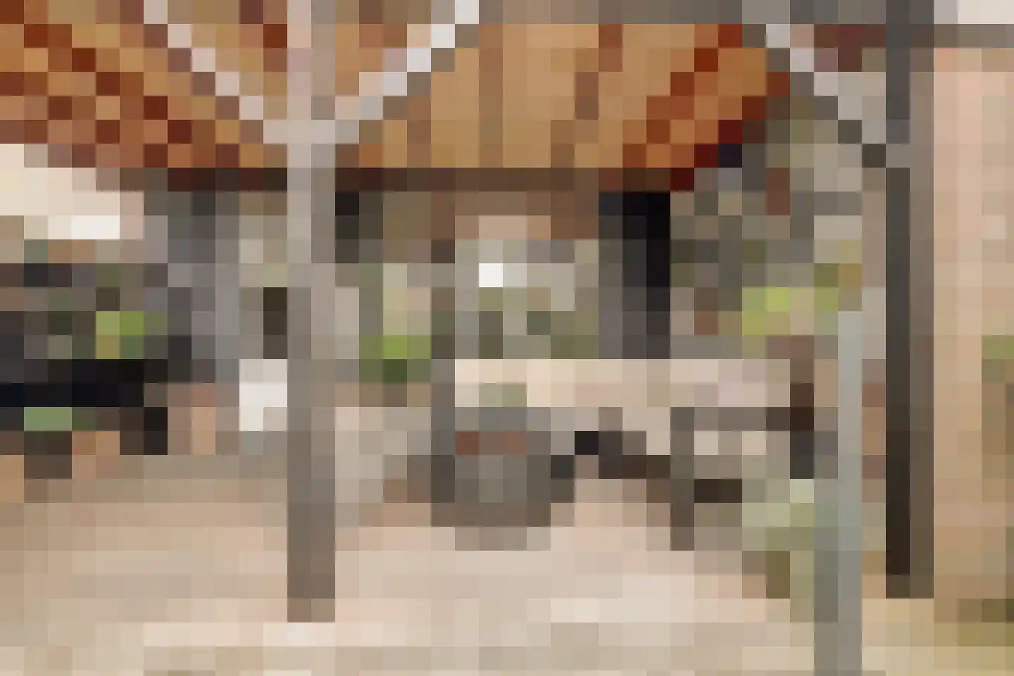 's-Gravenhof 30 Nieuwerbrug aan den Rijn thumbnail 22