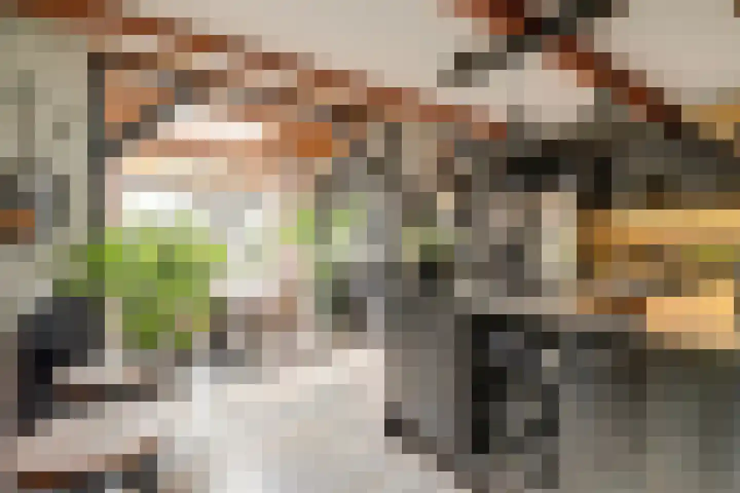 's-Gravenhof 30 Nieuwerbrug aan den Rijn thumbnail 7
