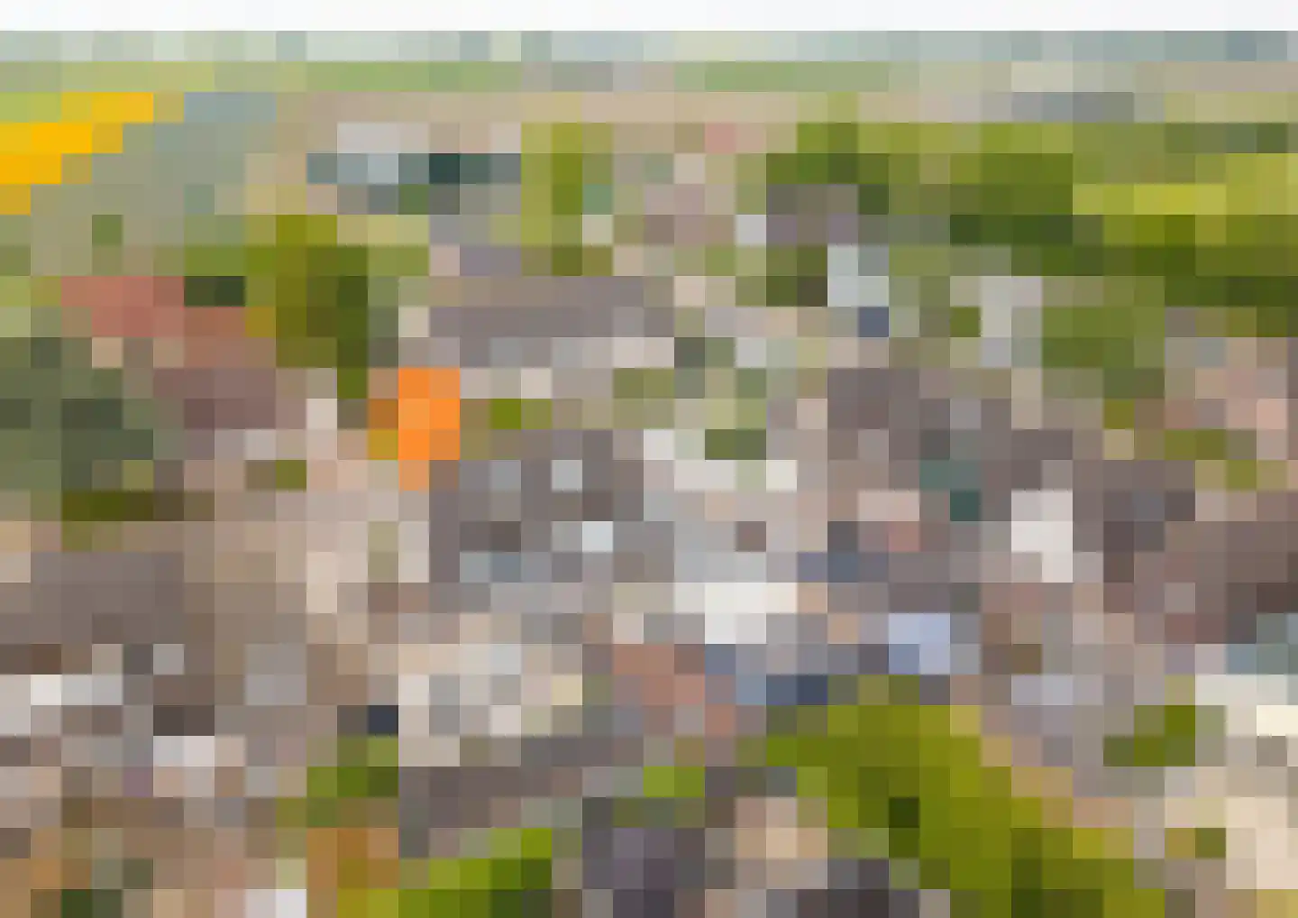's-Gravenkreek 9 Sint-Annaland thumbnail 4