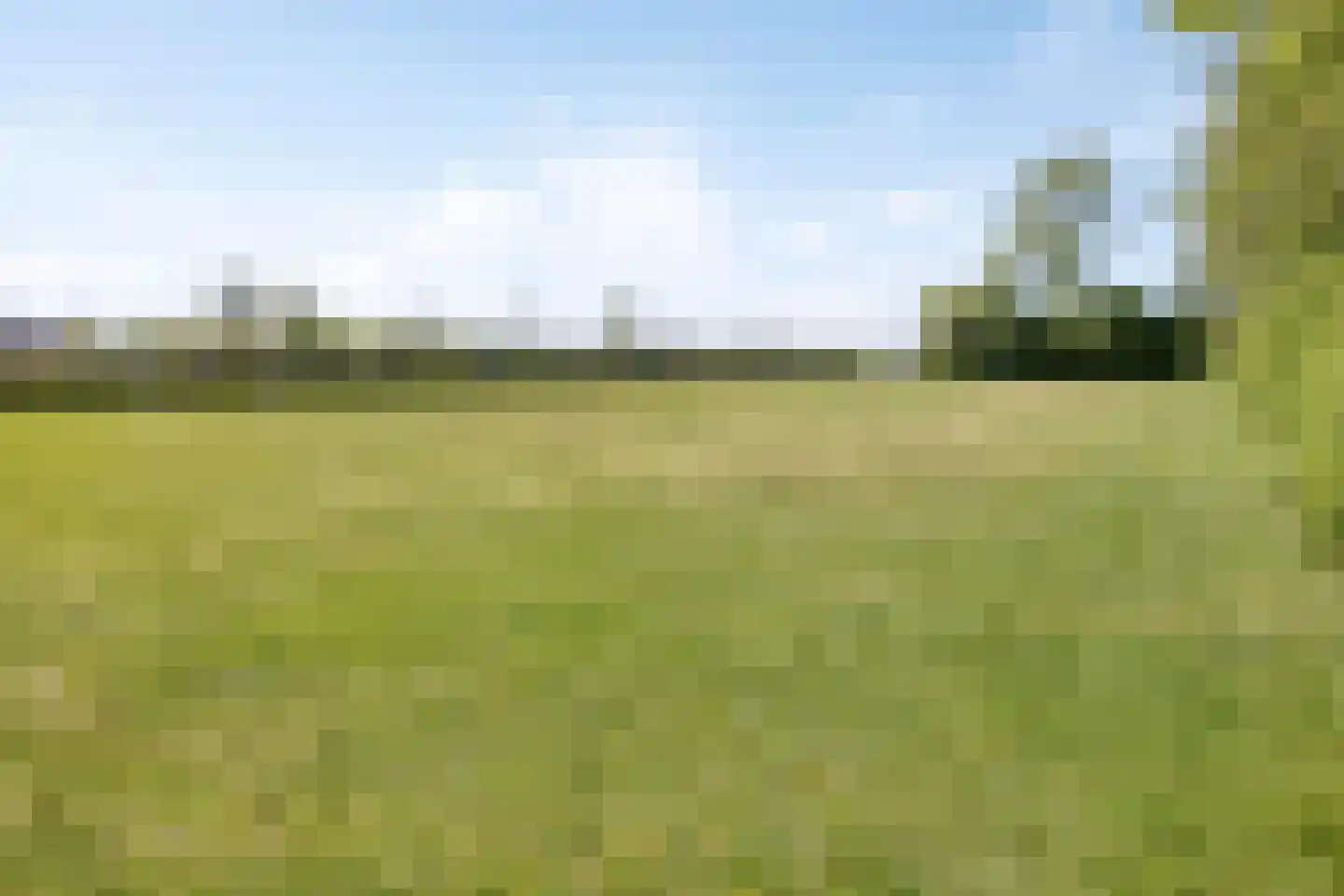 's-Gravenkreek 9 Sint-Annaland thumbnail 62