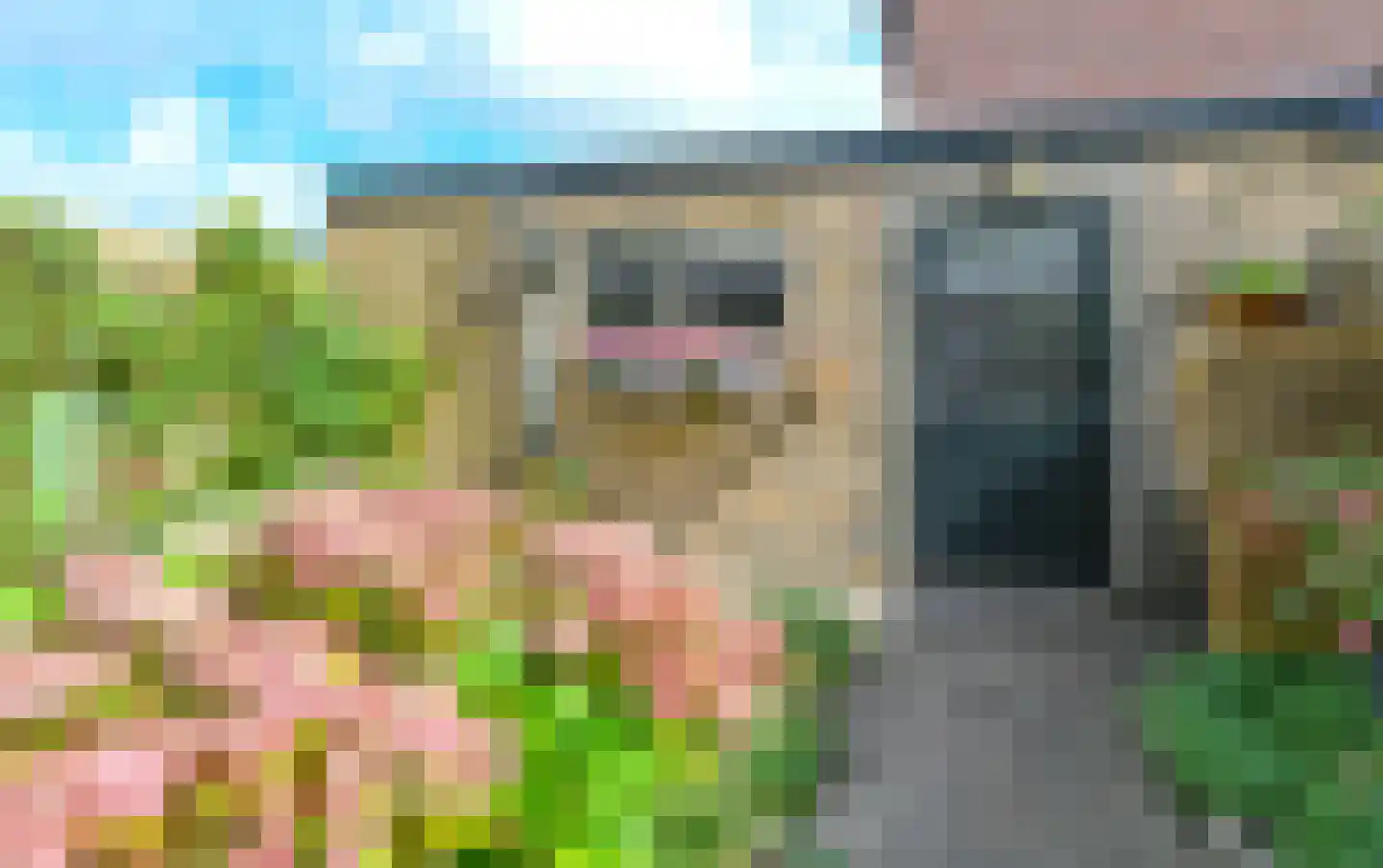 's Gravenlust 31 Velsen-Zuid thumbnail 9