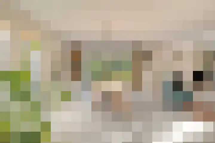 's Gravenmeet 6 Burgh-Haamstede thumbnail 11
