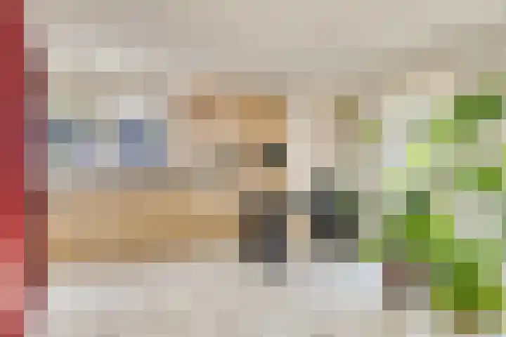 's Gravenmeet 6 Burgh-Haamstede thumbnail 12
