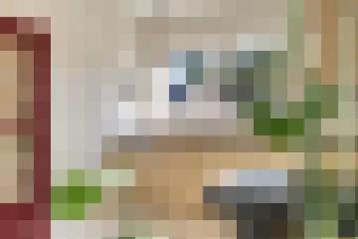 's Gravenmeet 6 Burgh-Haamstede thumbnail 13