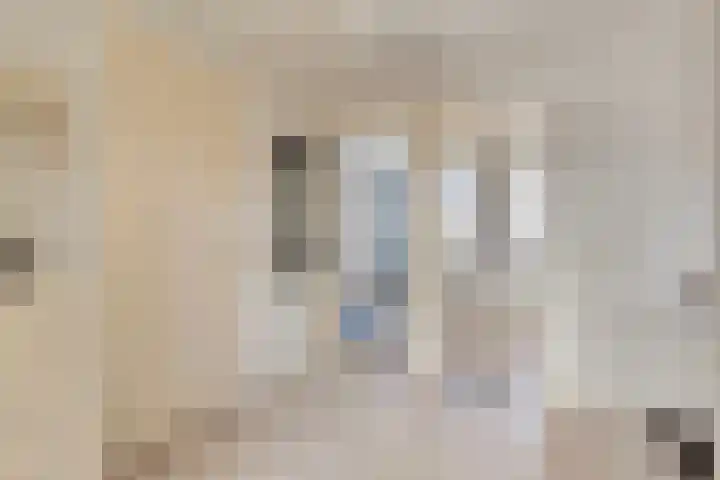 's Gravenmeet 6 Burgh-Haamstede thumbnail 15
