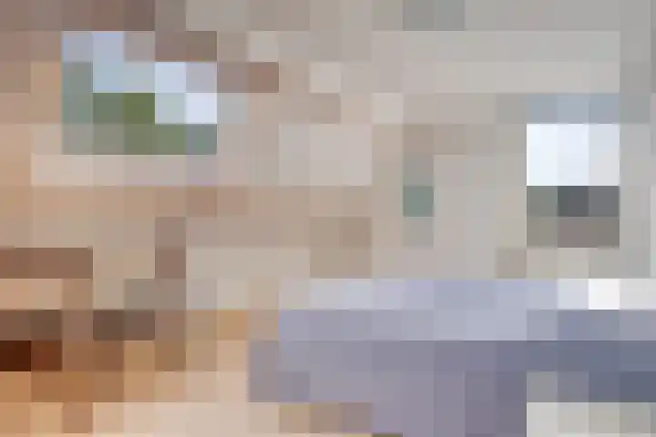 's Gravenmeet 6 Burgh-Haamstede thumbnail 20