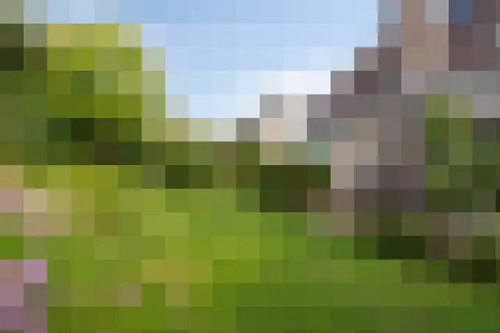 's Gravenmeet 6 Burgh-Haamstede thumbnail 26