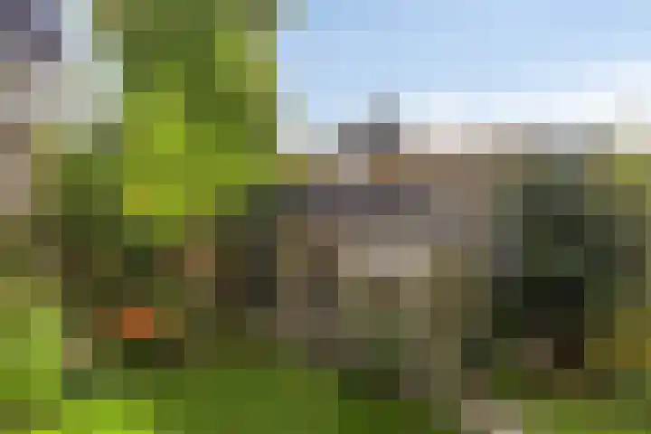 's Gravenmeet 6 Burgh-Haamstede thumbnail 27