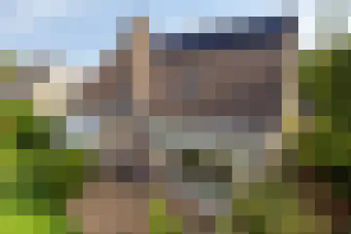 's Gravenmeet 6 Burgh-Haamstede thumbnail 28