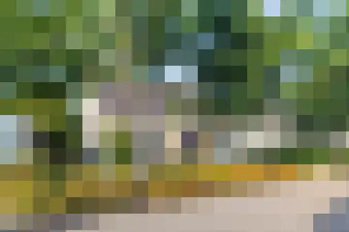 's Gravenmeet 6 Burgh-Haamstede thumbnail 29