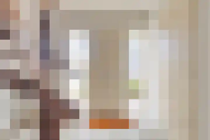 's Gravenmeet 6 Burgh-Haamstede thumbnail 4