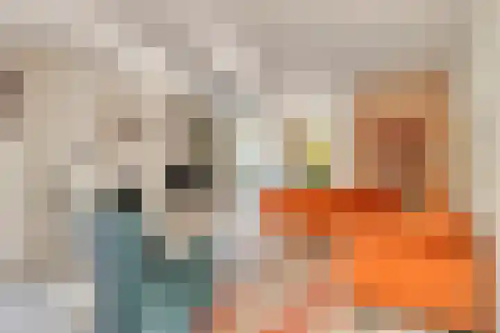 's Gravenmeet 6 Burgh-Haamstede thumbnail 5