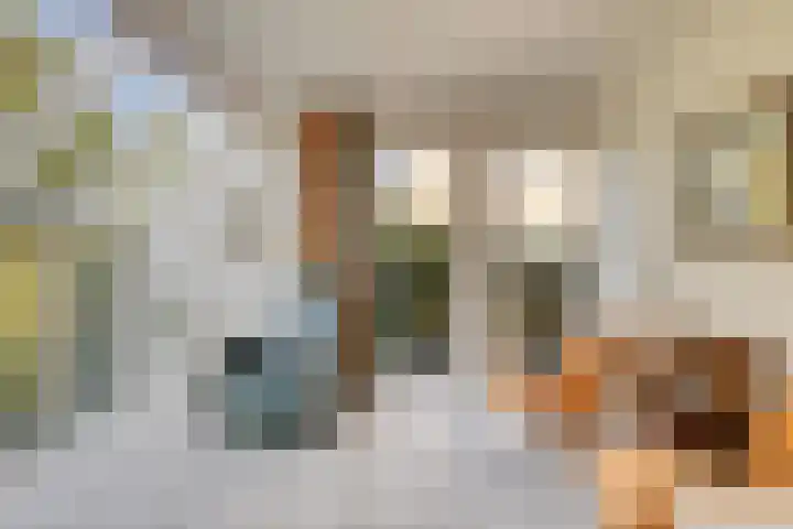 's Gravenmeet 6 Burgh-Haamstede thumbnail 7