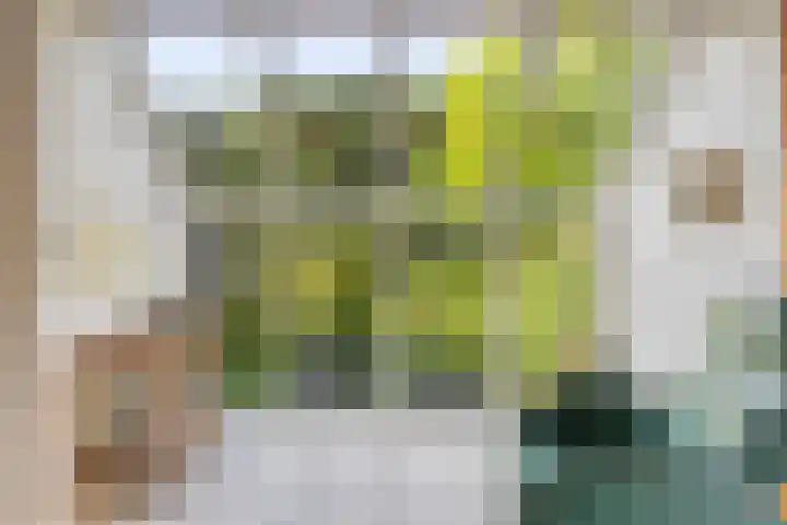 's Gravenmeet 6 Burgh-Haamstede thumbnail 8