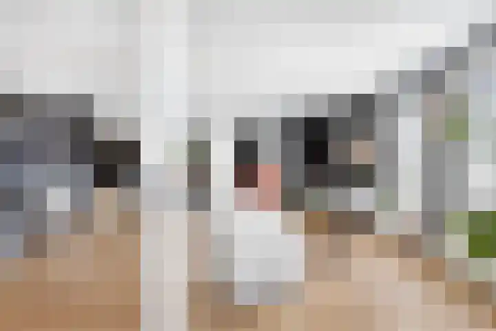 's-Gravenpolderseweg 1 B Goes thumbnail 14