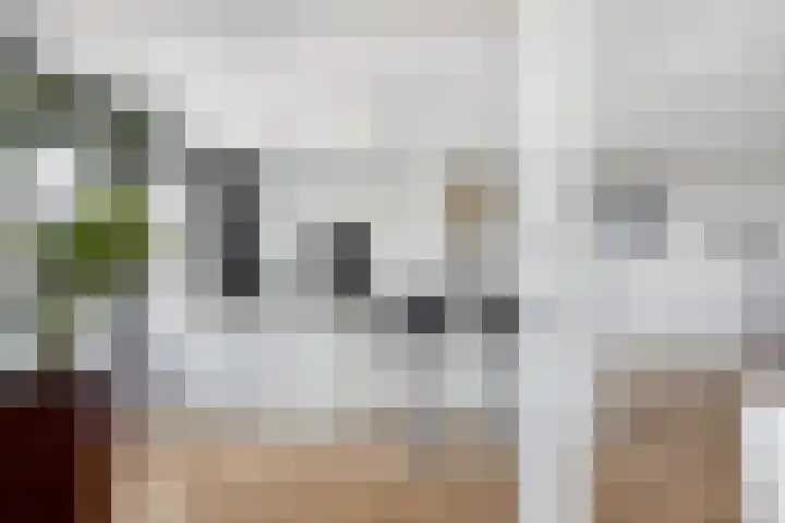 's-Gravenpolderseweg 1 B Goes thumbnail 15