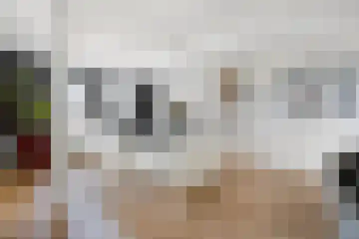 's-Gravenpolderseweg 1 B Goes thumbnail 16