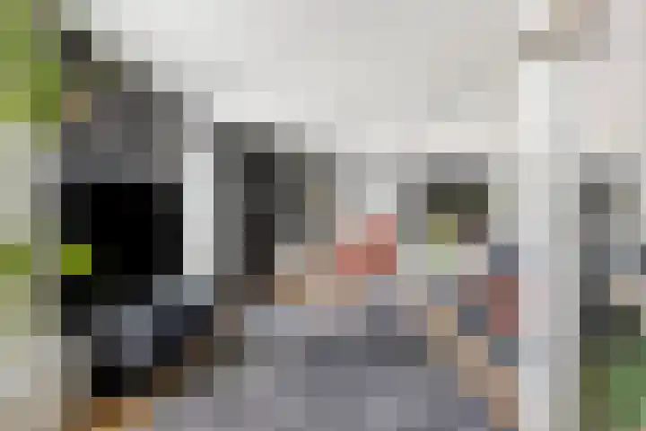 's-Gravenpolderseweg 1 B Goes thumbnail 21