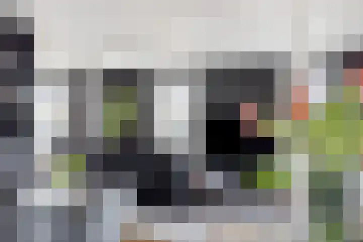 's-Gravenpolderseweg 1 B Goes thumbnail 28