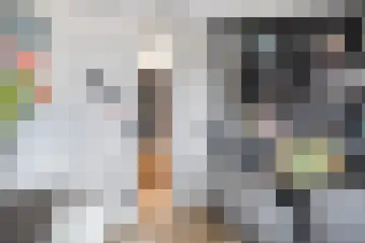 's-Gravenpolderseweg 1 B Goes thumbnail 29