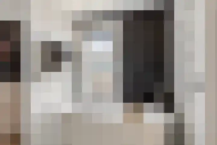 's-Gravenpolderseweg 1 B Goes thumbnail 38