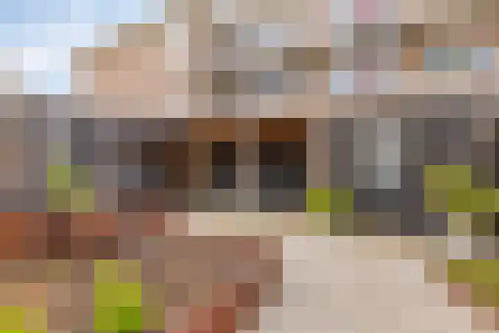 's-Gravenpolderseweg 1 B Goes thumbnail 4