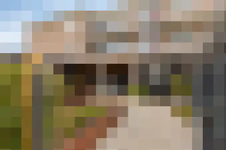's-Gravenpolderseweg 1 B Goes thumbnail 52