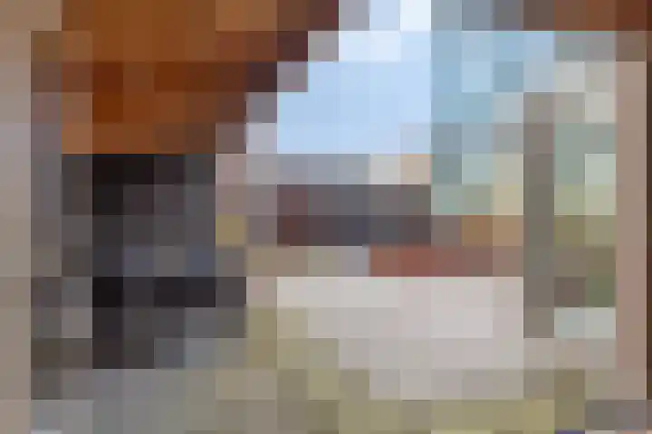 's-Gravenpolderseweg 1 B Goes thumbnail 56