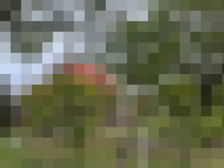 's-Gravenpolderseweg 100 Goes thumbnail 11