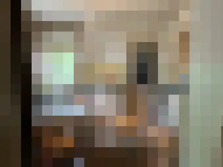 's-Gravenpolderseweg 100 Goes thumbnail 12