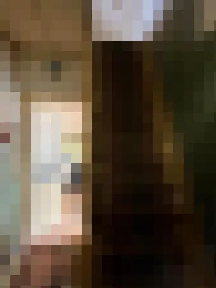 's-Gravenpolderseweg 100 Goes thumbnail 16