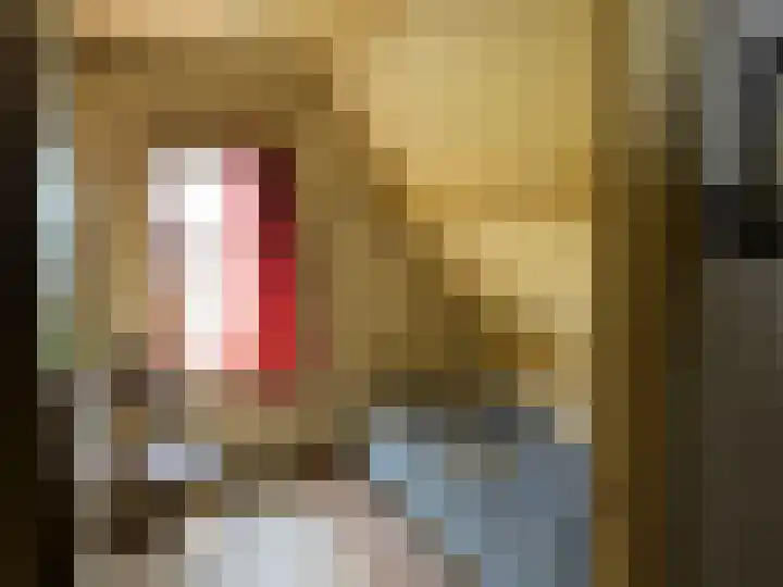 's-Gravenpolderseweg 100 Goes thumbnail 18