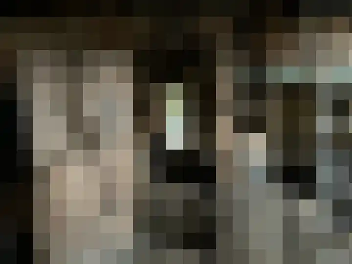 's-Gravenpolderseweg 100 Goes thumbnail 19