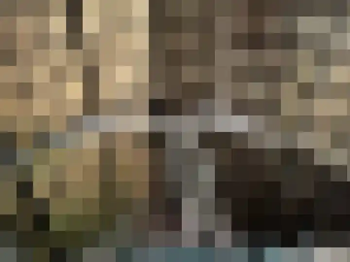 's-Gravenpolderseweg 100 Goes thumbnail 20
