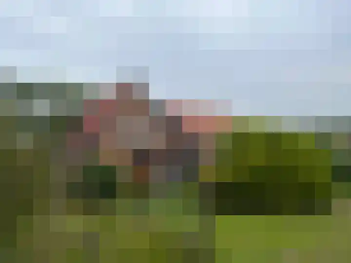 's-Gravenpolderseweg 100 Goes thumbnail 22