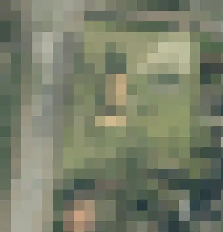's-Gravenpolderseweg 100 Goes thumbnail 23