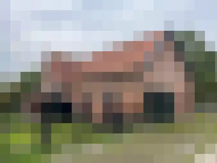 's-Gravenpolderseweg 100 Goes thumbnail 6