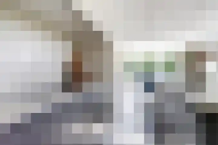's-Gravenpolderseweg 102 C Goes thumbnail 19