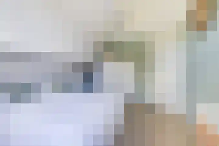 's-Gravenpolderseweg 102 C Goes thumbnail 30