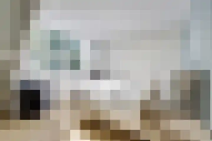 's-Gravenpolderseweg 102 C Goes thumbnail 34