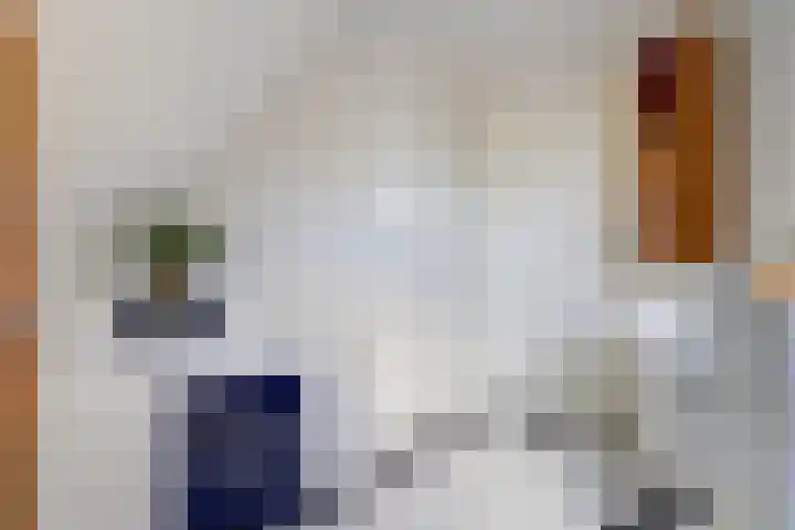 's-Gravenpolderseweg 102 C Goes thumbnail 36