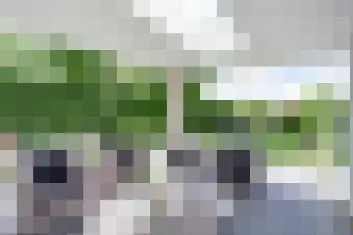 's-Gravenpolderseweg 102 C Goes thumbnail 4